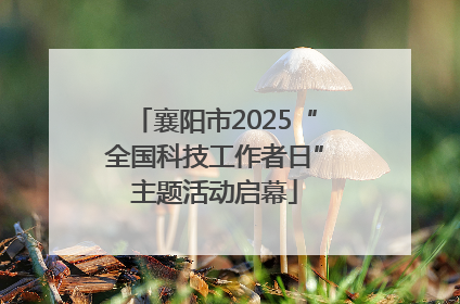 襄阳市2025“全国科技工作者日”主题活动启幕