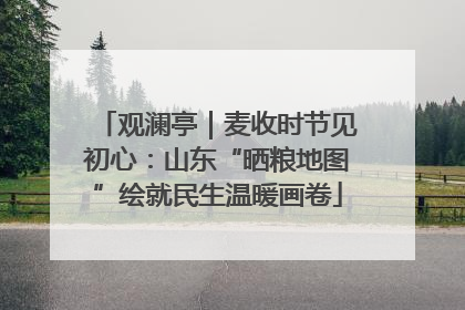 观澜亭｜麦收时节见初心：山东“晒粮地图”绘就民生温暖画卷
