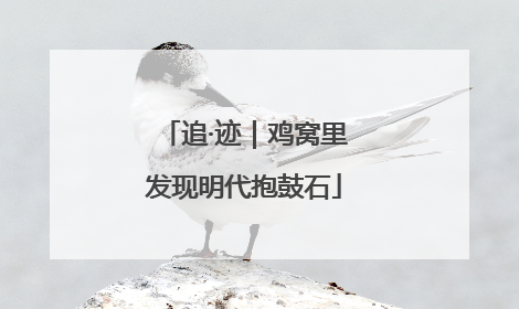 追·迹｜鸡窝里发现明代抱鼓石