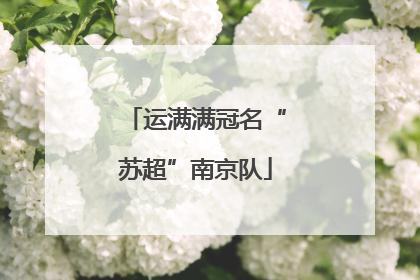 运满满冠名“苏超”南京队