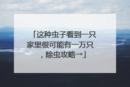 这种虫子看到一只家里很可能有一万只，除虫攻略→