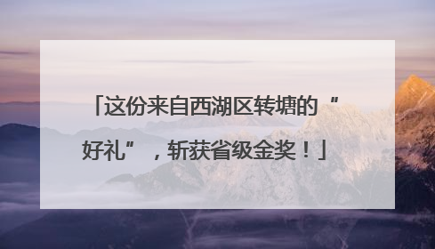 这份来自西湖区转塘的“好礼”，斩获省级金奖！