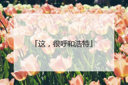 这，很呼和浩特