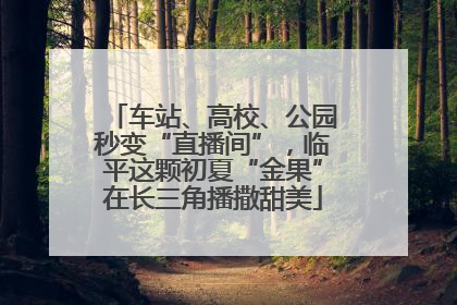 车站、高校、公园秒变“直播间”，临平这颗初夏“金果”在长三角播撒甜美