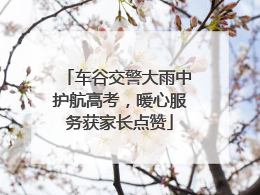 车谷交警大雨中护航高考，暖心服务获家长点赞