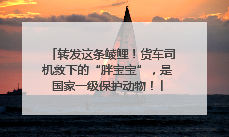 转发这条鲮鲤！货车司机救下的“胖宝宝”，是国家一级保护动物！