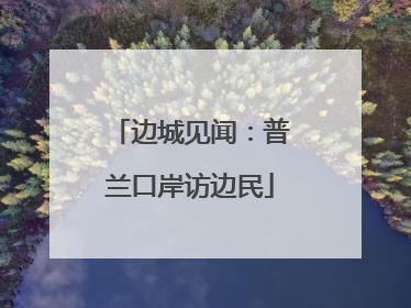 边城见闻：普兰口岸访边民