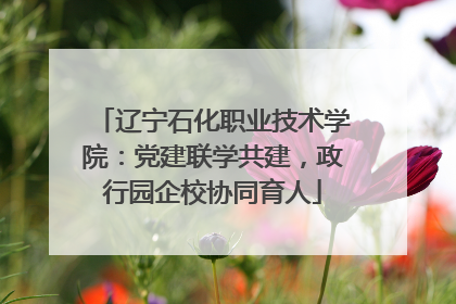 辽宁石化职业技术学院：党建联学共建，政行园企校协同育人