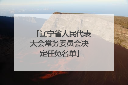 辽宁省人民代表大会常务委员会决定任免名单
