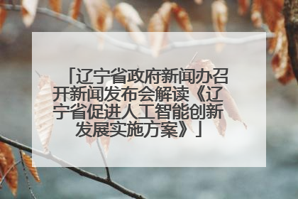 辽宁省政府新闻办召开新闻发布会解读《辽宁省促进人工智能创新发展实施方案》
