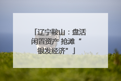 辽宁鞍山：盘活闲置资产 抢滩“银发经济”