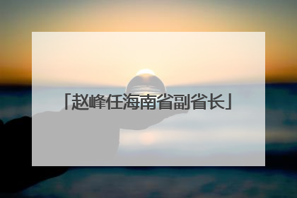 赵峰任海南省副省长