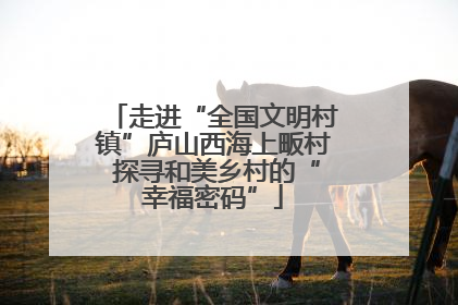 走进“全国文明村镇”庐山西海上畈村 探寻和美乡村的“幸福密码”