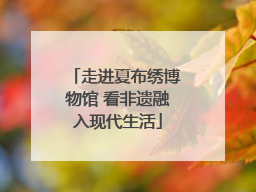 走进夏布绣博物馆 看非遗融入现代生活
