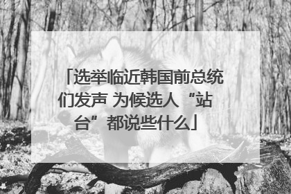 选举临近韩国前总统们发声 为候选人“站台”都说些什么