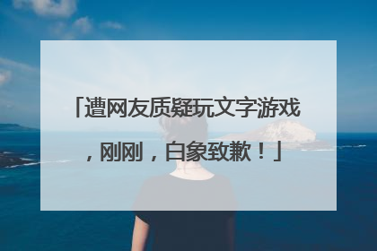 遭网友质疑玩文字游戏，刚刚，白象致歉！