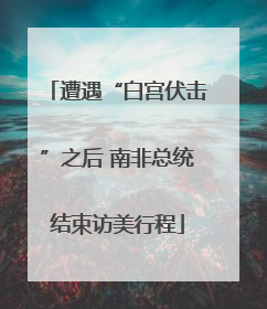 遭遇“白宫伏击”之后 南非总统结束访美行程