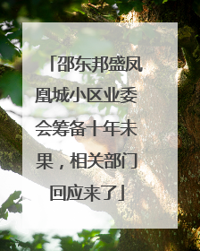邵东邦盛凤凰城小区业委会筹备十年未果，相关部门回应来了