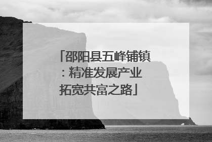 邵阳县五峰铺镇：精准发展产业 拓宽共富之路