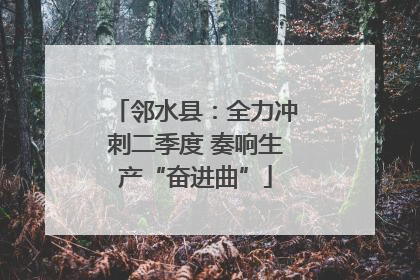 邻水县：全力冲刺二季度 奏响生产“奋进曲”