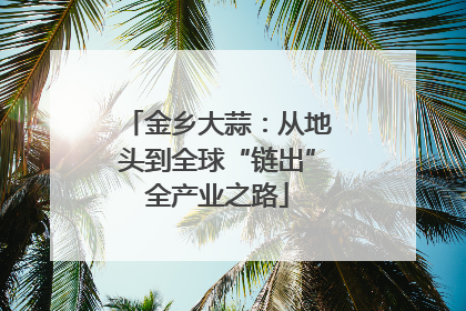 金乡大蒜：从地头到全球“链出”全产业之路