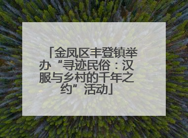 金凤区丰登镇举办“寻迹民俗：汉服与乡村的千年之约”活动