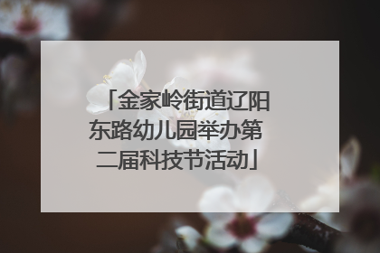 金家岭街道辽阳东路幼儿园举办第二届科技节活动