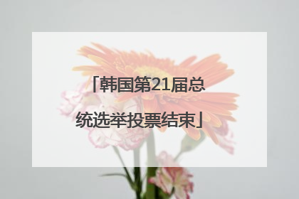 韩国第21届总统选举投票结束