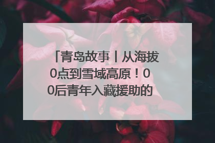 青岛故事丨从海拔0点到雪域高原！00后青年入藏援助的400多个日夜