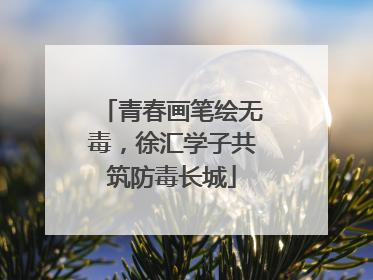 青春画笔绘无毒，徐汇学子共筑防毒长城