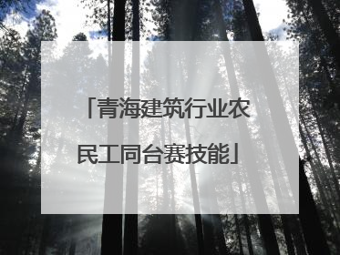 青海建筑行业农民工同台赛技能