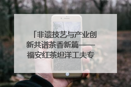 非遗技艺与产业创新共谱茶香新篇——福安红茶坦洋工夫专场推介会在京举办
