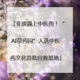 非遗遇上中医药！“AI草药园”入选中医药文化首批宣教基地