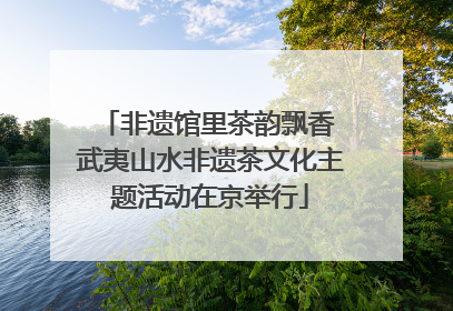 非遗馆里茶韵飘香 武夷山水非遗茶文化主题活动在京举行