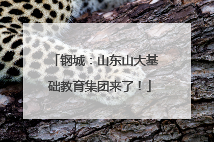 钢城：山东山大基础教育集团来了！