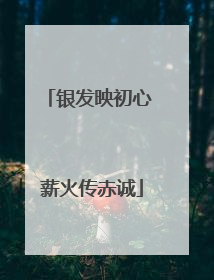 银发映初心 薪火传赤诚