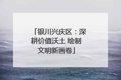 银川兴庆区：深耕价值沃土 绘制文明新画卷