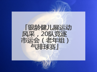 银龄健儿展运动风采，20队竞逐市运会（老年组）气排球赛