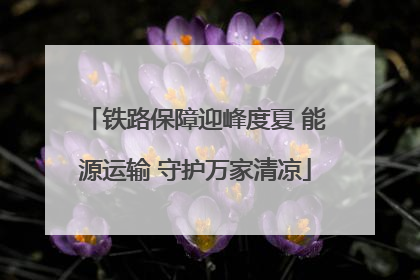 铁路保障迎峰度夏 能源运输 守护万家清凉