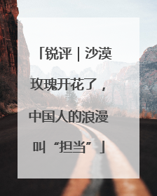 锐评｜沙漠玫瑰开花了，中国人的浪漫叫“担当”