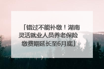 错过不能补缴！湖南灵活就业人员养老保险缴费期延长至6月底