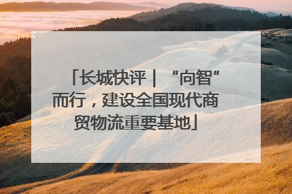 长城快评｜“向智”而行，建设全国现代商贸物流重要基地