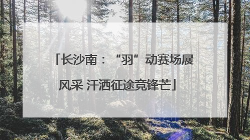 长沙南：“羽”动赛场展风采 汗洒征途竞锋芒