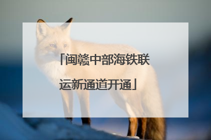 闽赣中部海铁联运新通道开通