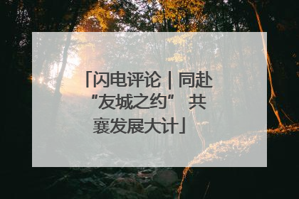 闪电评论｜同赴“友城之约” 共襄发展大计