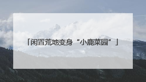 闲置荒地变身“小鹿菜园”