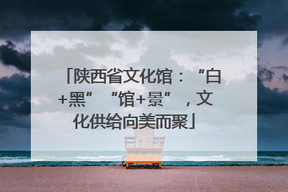陕西省文化馆：“白+黑”“馆+景”，文化供给向美而聚