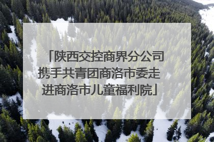 陕西交控商界分公司携手共青团商洛市委走进商洛市儿童福利院