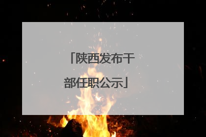 陕西发布干部任职公示