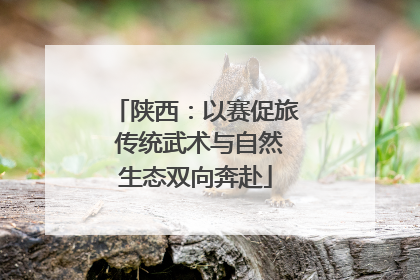 陕西：以赛促旅 传统武术与自然生态双向奔赴